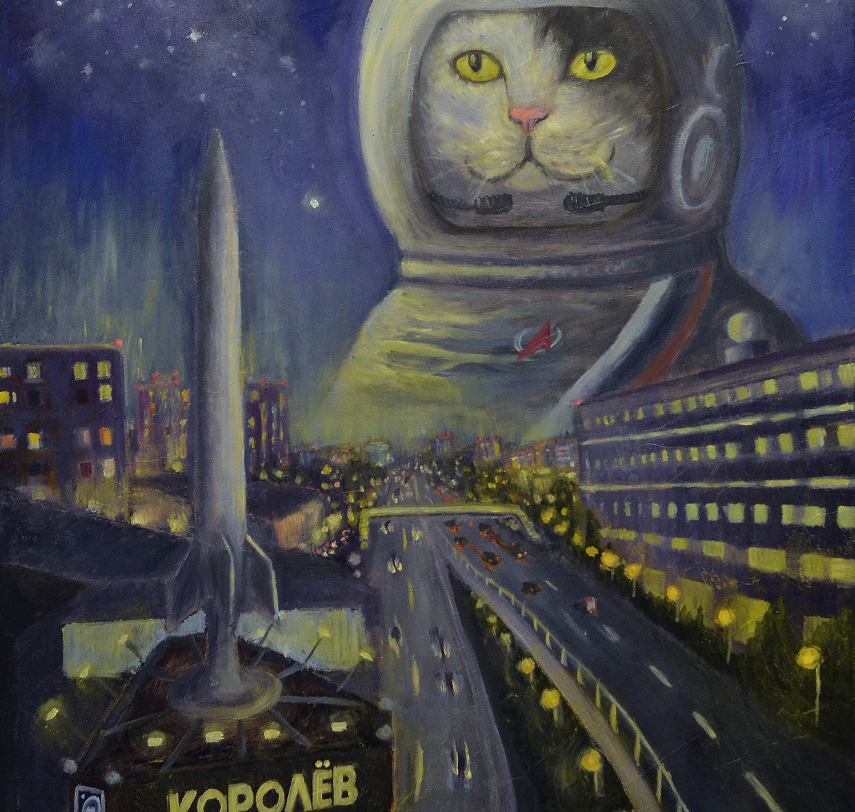 кот в космосе
